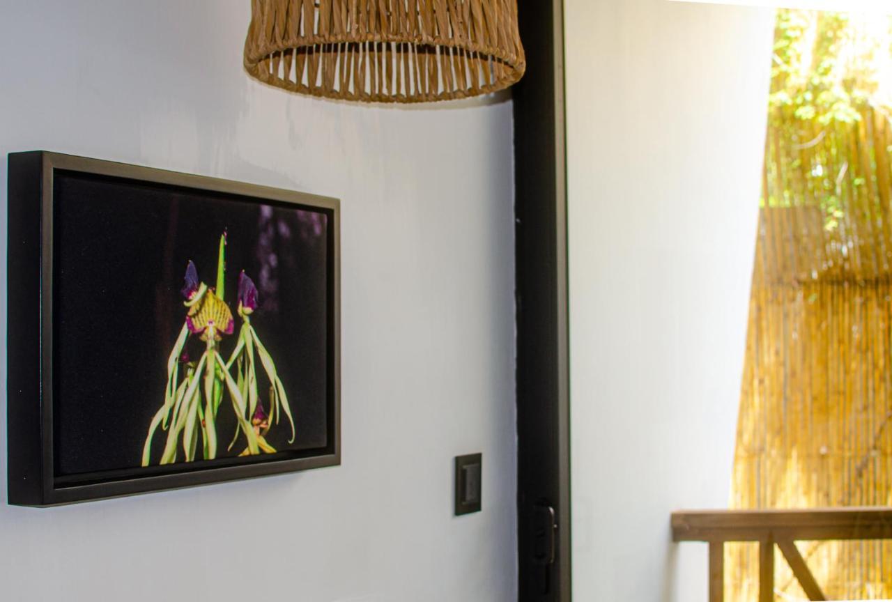 Ximena Hotel Boutique Sayulita Exterior photo